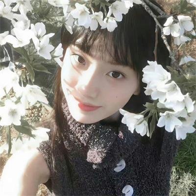 南方纪事之浮世光影